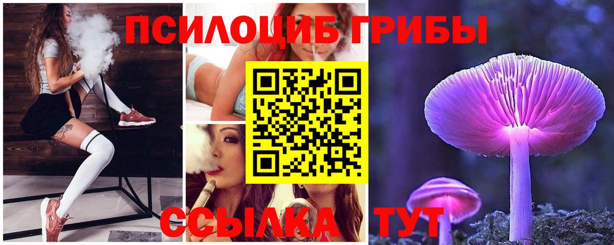 Псилоцибиновые грибы Psilocybe Орехово-Зуево